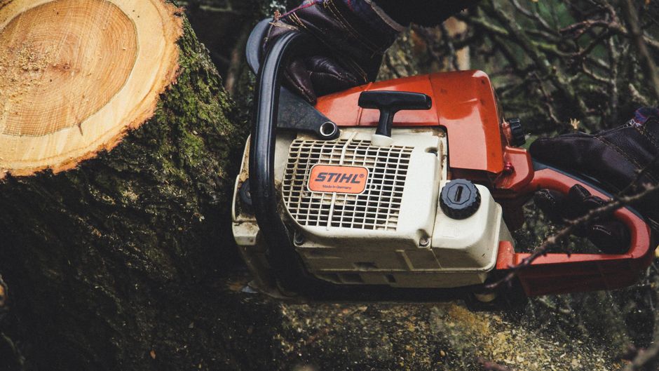Stump grinding